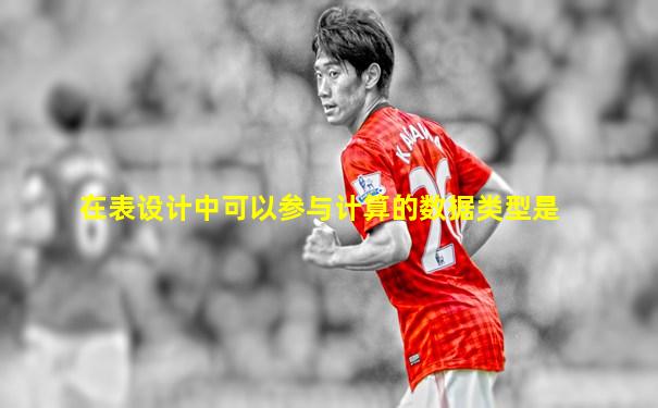 在表设计中可以参与计算的数据类型是