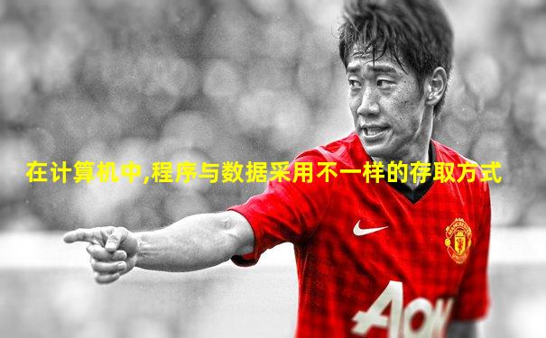在计算机中,程序与数据采用不一样的存取方式