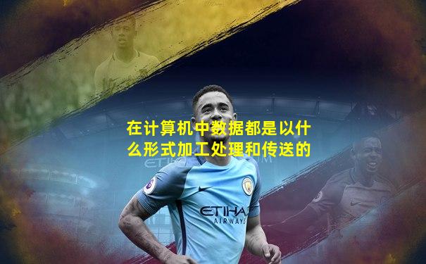 在计算机中数据都是以什么形式加工处理和传送的