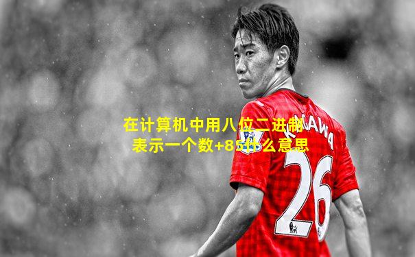 在计算机中用八位二进制表示一个数+85什么意思