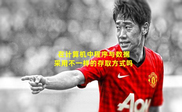 在计算机中程序与数据采用不一样的存取方式吗