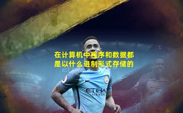 在计算机中程序和数据都是以什么进制形式存储的
