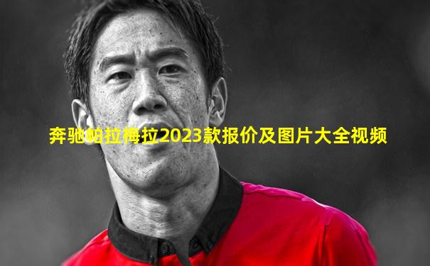 奔驰帕拉梅拉2023款报价及图片大全视频