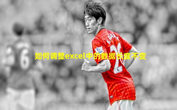 如何调整excel中的数据长度不变