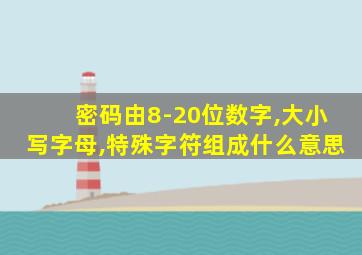 密码由8-20位数字,大小写字母,特殊字符组成什么意思
