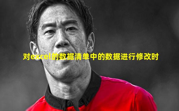 对excel的数据清单中的数据进行修改时