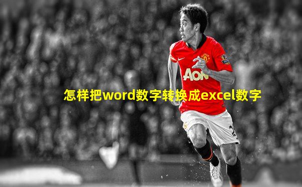 怎样把word数字转换成excel数字