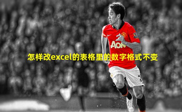 怎样改excel的表格里的数字格式不变