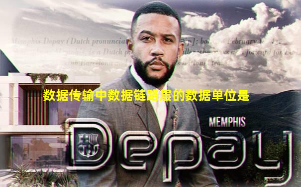 数据传输中数据链路层的数据单位是