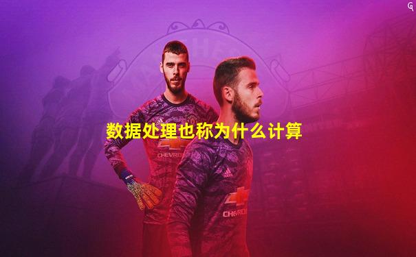 数据处理也称为什么计算