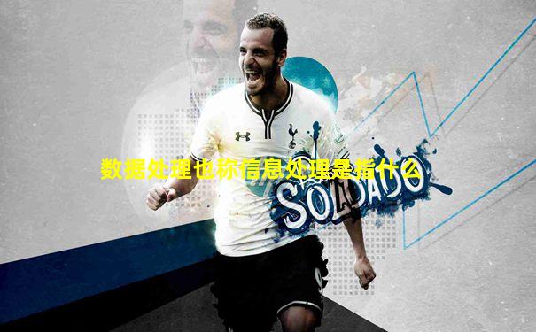 数据处理也称信息处理是指什么