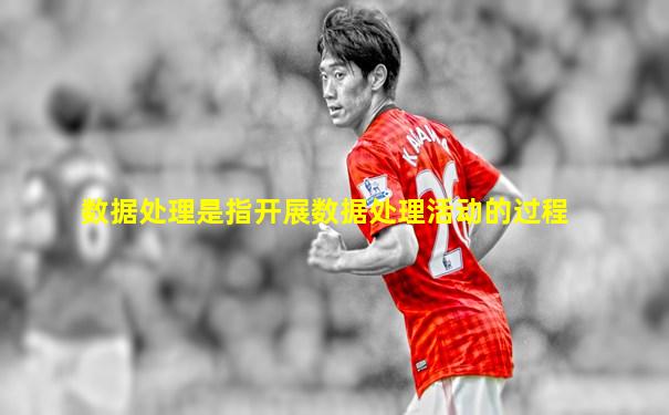 数据处理是指开展数据处理活动的过程