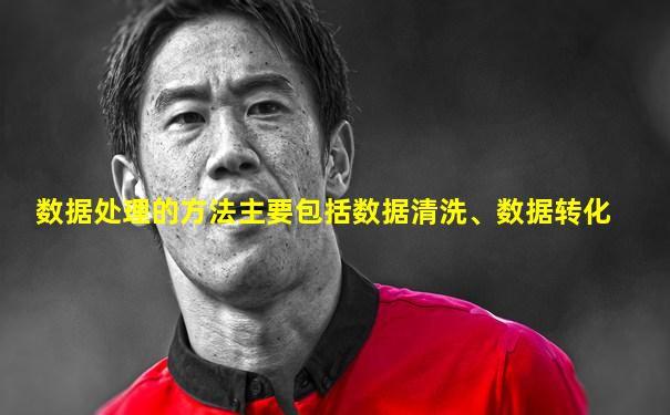 数据处理的方法主要包括数据清洗、数据转化