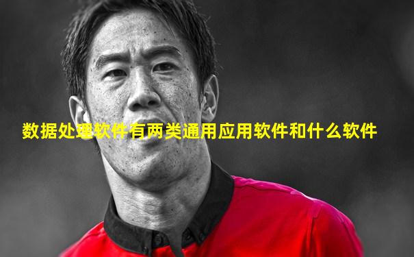 数据处理软件有两类通用应用软件和什么软件