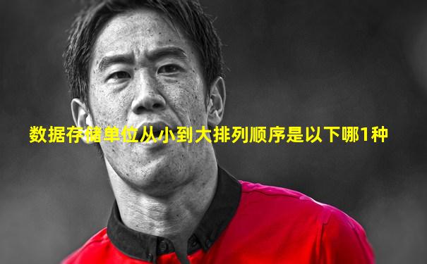 数据存储单位从小到大排列顺序是以下哪1种