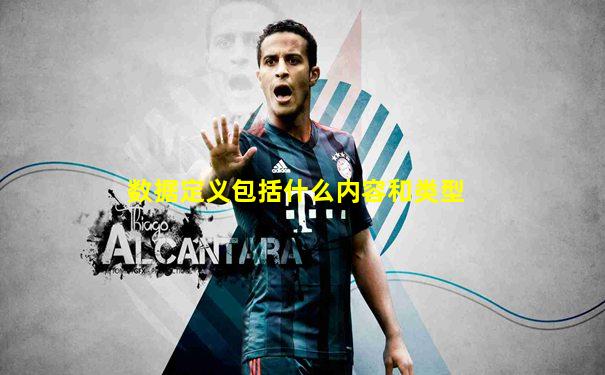 数据定义包括什么内容和类型