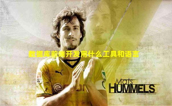 数据库前端开发用什么工具和语言