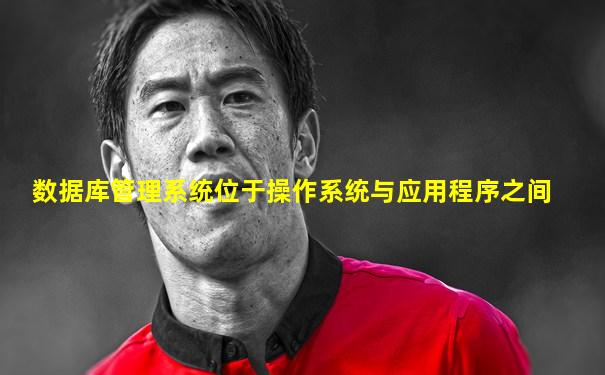 数据库管理系统位于操作系统与应用程序之间