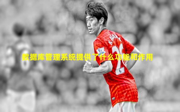 数据库管理系统提供了什么功能和作用