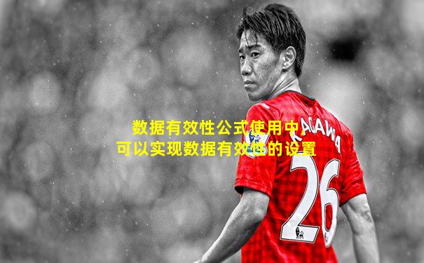 数据有效性公式使用中,可以实现数据有效性的设置