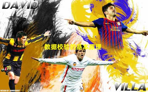 数据校验的基本原理