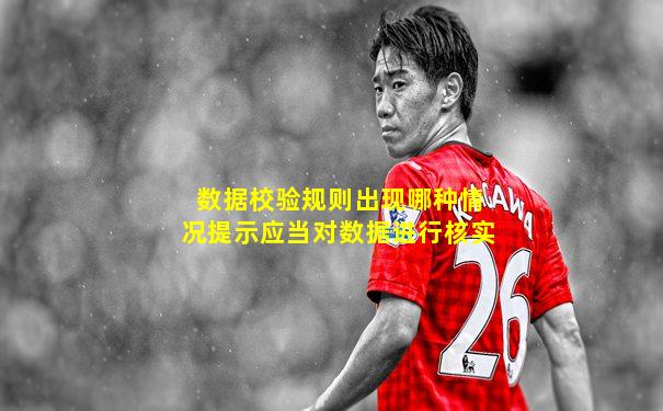 数据校验规则出现哪种情况提示应当对数据进行核实