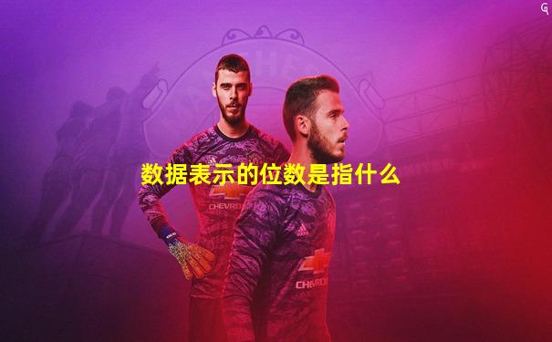 数据表示的位数是指什么