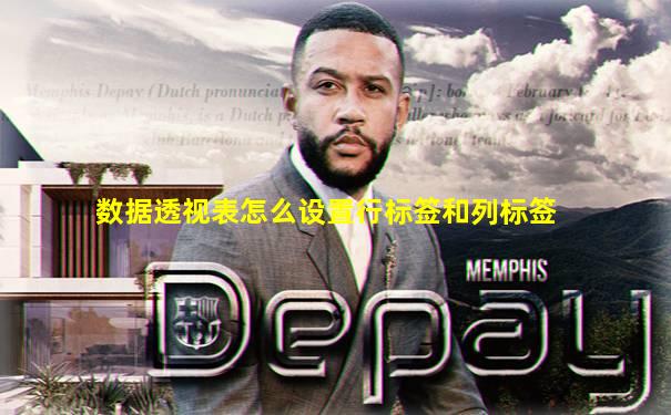 数据透视表怎么设置行标签和列标签
