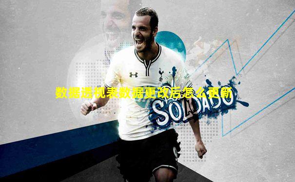 数据透视表数据更改后怎么更新