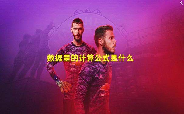 数据量的计算公式是什么