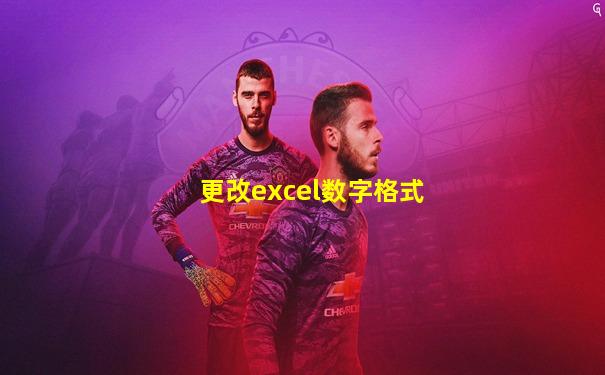 更改excel数字格式