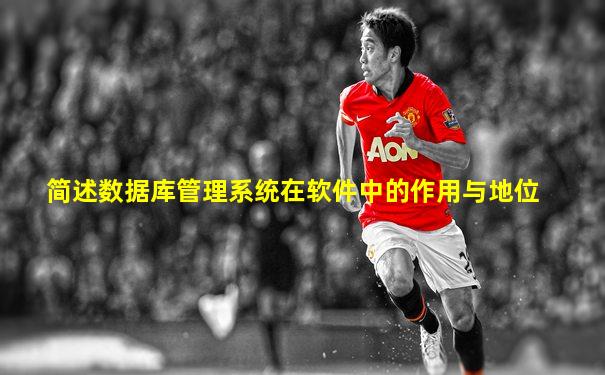 简述数据库管理系统在软件中的作用与地位