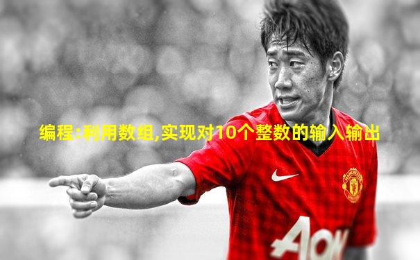 编程:利用数组,实现对10个整数的输入输出