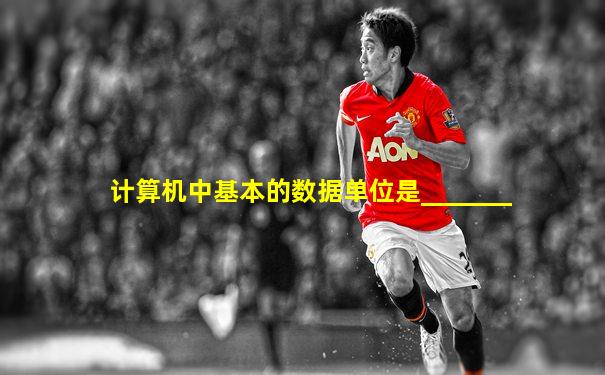 计算机中基本的数据单位是_______