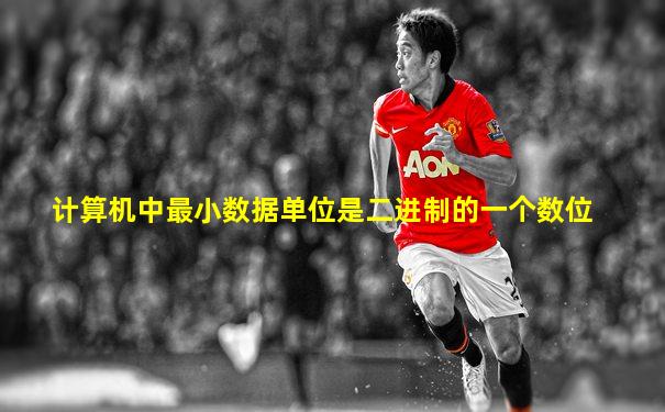 计算机中最小数据单位是二进制的一个数位