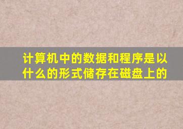 计算机中的数据和程序是以什么的形式储存在磁盘上的