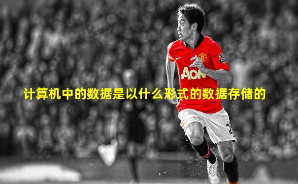 计算机中的数据是以什么形式的数据存储的