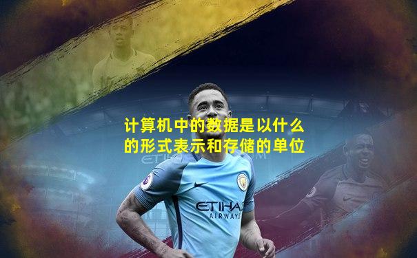 计算机中的数据是以什么的形式表示和存储的单位