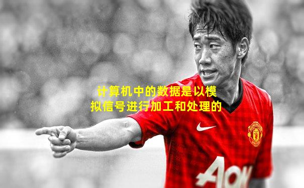 计算机中的数据是以模拟信号进行加工和处理的
