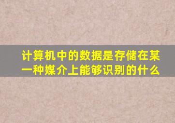 计算机中的数据是存储在某一种媒介上能够识别的什么
