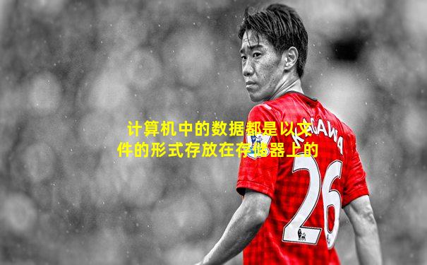 计算机中的数据都是以文件的形式存放在存储器上的