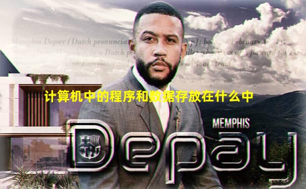 计算机中的程序和数据存放在什么中