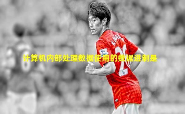 计算机内部处理数据使用的数据进制是