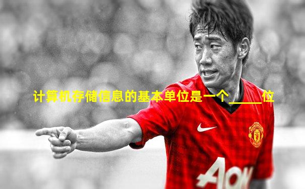 计算机存储信息的基本单位是一个_____位