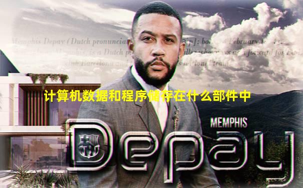 计算机数据和程序储存在什么部件中