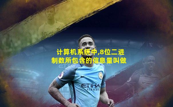 计算机系统中,8位二进制数所包含的信息量叫做