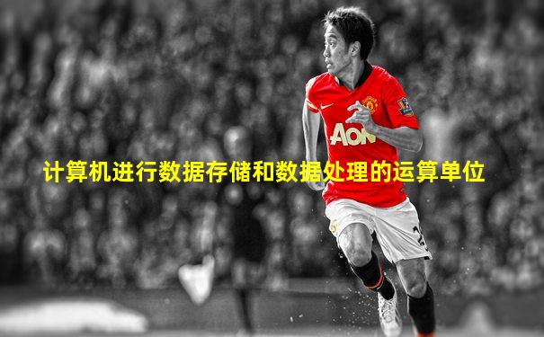 计算机进行数据存储和数据处理的运算单位