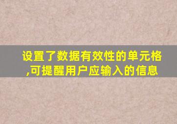 设置了数据有效性的单元格,可提醒用户应输入的信息