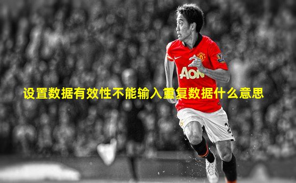 设置数据有效性不能输入重复数据什么意思
