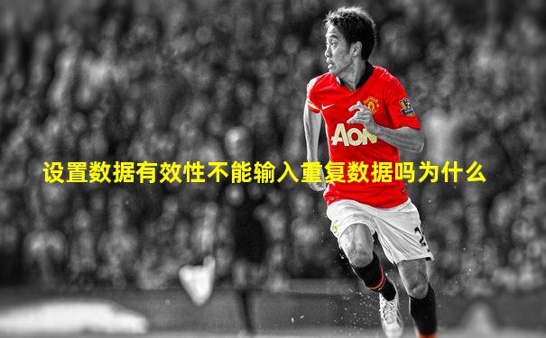 设置数据有效性不能输入重复数据吗为什么